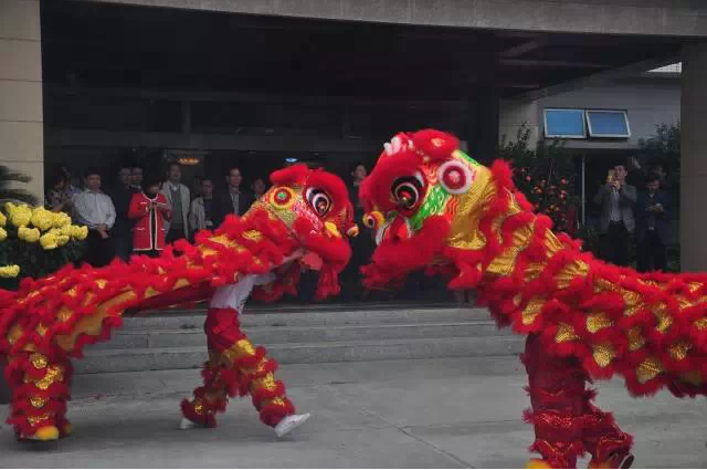 抖圈(中国区)人生就是搏!