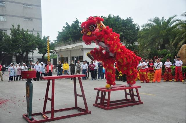 抖圈(中国区)人生就是搏!