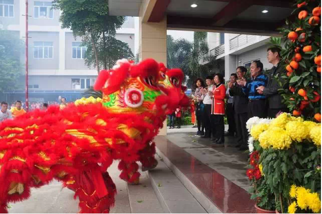 抖圈(中国区)人生就是搏!